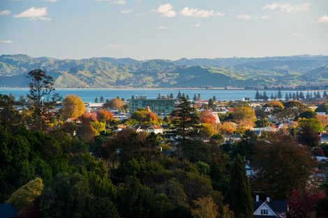 Photo of property in 71 Seddon Crescent, Whataupoko, Gisborne, 4010