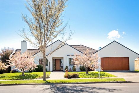 Photo of property in 49 Russell Robertson Drive, Havelock North, 4130