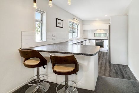 Photo of property in 48b Dickens Street, Addington, Christchurch, 8024