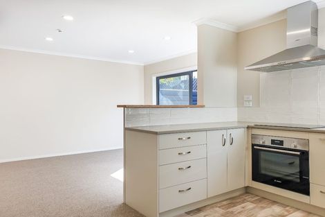 Photo of property in 3u2 Palmerston Street, Hamilton Central, Hamilton, 3204