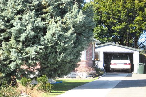 Photo of property in 14 Paterson Place, Whakatane, 3120