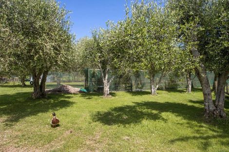 Photo of property in 234 Walford Road, Aongatete, Katikati, 3181