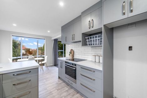 Photo of property in 255 Talbot Street, Hargest, Invercargill, 9810