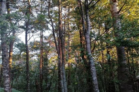 Photo of property in 16 Kittiwake Drive, Schnapper Rock, Auckland, 0632