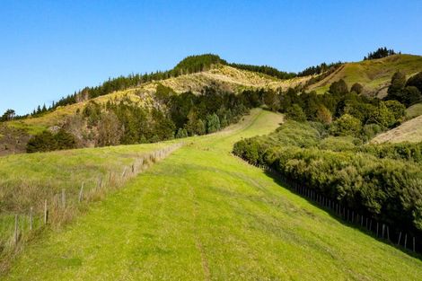 Photo of property in 704 Whangaripo Valley Road, Whangaripo, Wellsford, 0972