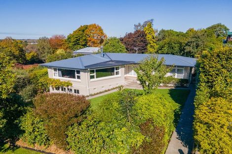 Photo of property in 17 Hewlings Street, Geraldine, 7930