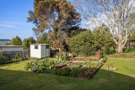 Photo of property in 33 Bradford Street, Waihi, 3610