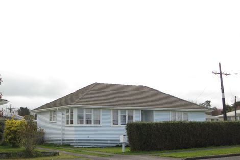 Photo of property in 89 Brecon Road, Stratford, 4332