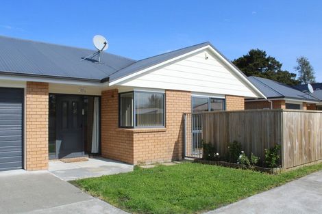 Photo of property in 85a Oxford Street, Lansdowne, Masterton, 5810