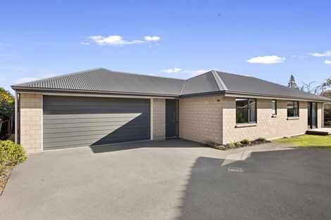 Photo of property in 161c Queen Street, Richmond, 7020