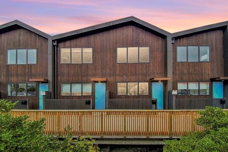 Photo of property in Aniva Terrace, 22 Ferguson Street, Newtown, Wellington, 6021