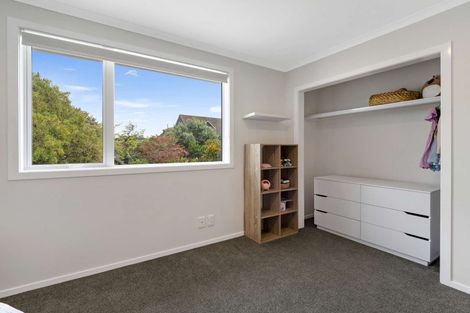 Photo of property in 113 Stanford Street North, Ashhurst, 4810