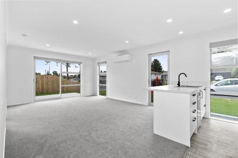 Photo of property in 45u1 Tranmere Road, Fairfield, Hamilton, 3214