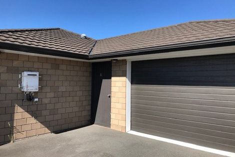 Photo of property in 193u1 Massey Street, Frankton, Hamilton, 3204