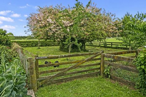 Photo of property in 1242 Kaipaki Road, Cambridge, 3495