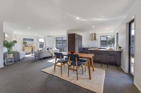 Photo of property in 45 Otia Drive, Richmond, 7020