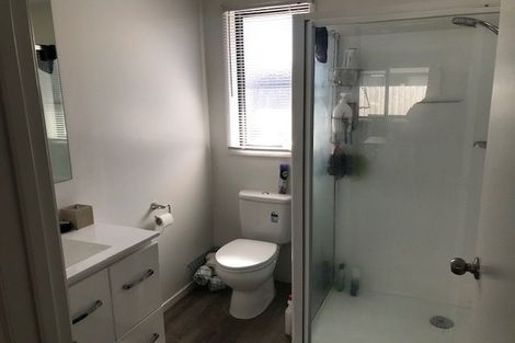 Photo of property in 193u1 Massey Street, Frankton, Hamilton, 3204