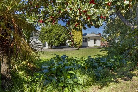 Photo of property in 2 David Street, Yelverton, Blenheim, 7201