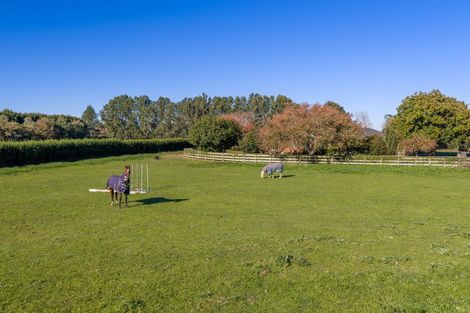 Photo of property in 310 Mystery Creek Road, Ohaupo, 3881