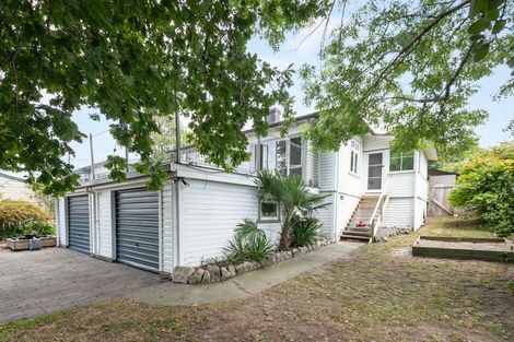 Photo of property in 78 Porangahau Road, Waipukurau, 4200