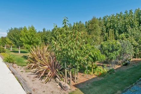 Photo of property in 56 Manse Road, Leeston, 7632