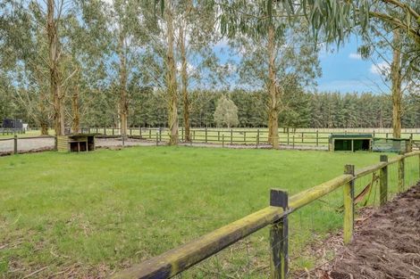 Photo of property in 286b Isaac Road, Eyrewell, Rangiora, 7476