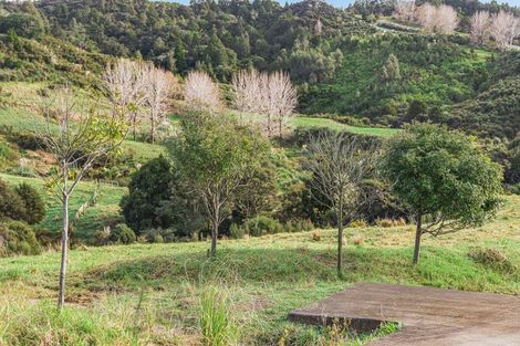 Photo of property in 88 Waere Valley Lane, Warkworth, 0981