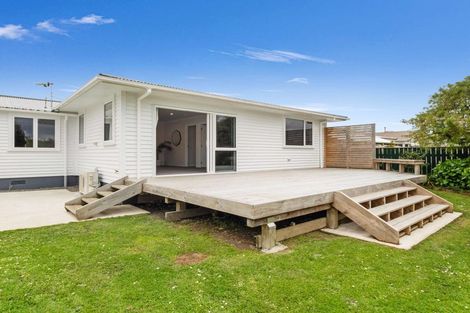 Photo of property in 113 Stanford Street North, Ashhurst, 4810