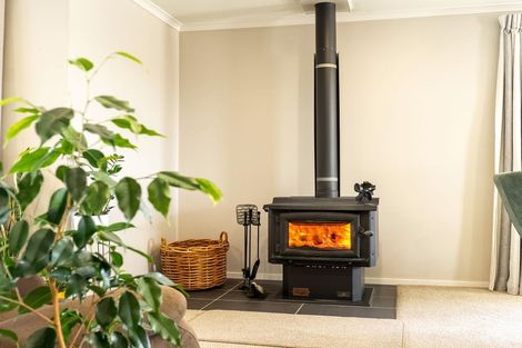 Photo of property in 6 Unwin Place, Twizel, 7901