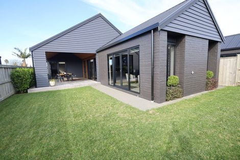 Photo of property in 42 Briarley Street, Tauranga South, Tauranga, 3112