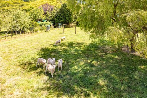 Photo of property in 161b No 3 Line, Whanganui East, Wanganui, 4500