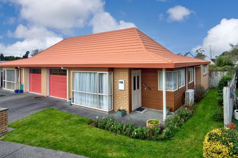 Photo of property in Holdsworth Villas, 38/2 William Donald Drive, Solway, Masterton, 5810