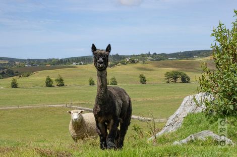 Photo of property in 279 Fordyce Road, Helensville, 0874