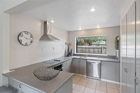 Photo of property in 113 Estuary Road, South New Brighton, Christchurch, 8062