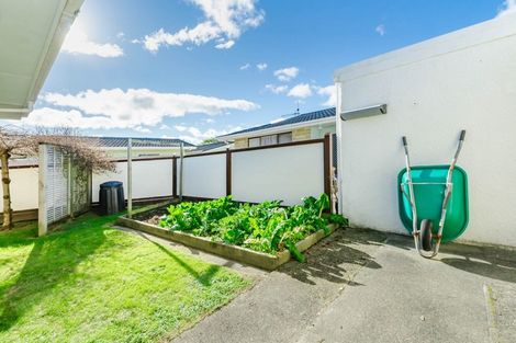 Photo of property in 3 Matai Street, Waikanae, 5036