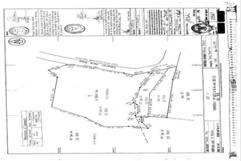 Photo of property in 459 Kakariki Farm Road, Kotemaori, 4188