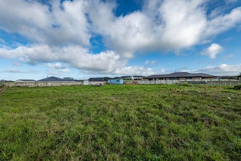Photo of property in 20d Larlin Drive, Hawera, 4675