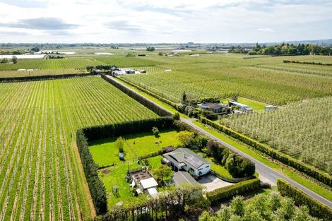 Photo of property in 99 Raupare Road, Twyford, Hastings, 4175