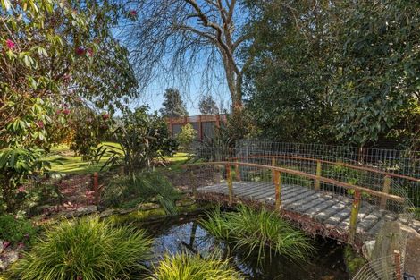 Photo of property in 314 Te Rahu Road, Poroporo, Whakatane, 3193