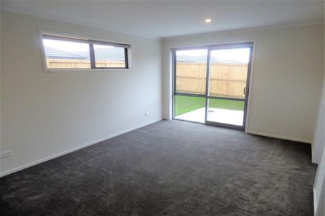 Photo of property in 41 Mcnally Road, Pukekohe, 2120