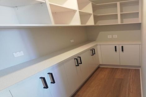 Photo of property in 17 Feltham Street, Richmond, 7020