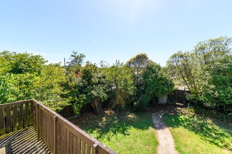 Photo of property in 145 Winchester Street, Ashhurst, 4810