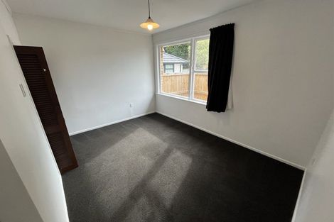 Photo of property in 17 Walker Terrace, Dinsdale, Hamilton, 3204