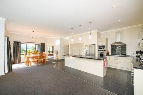 Photo of property in 544c Taonui Road, Colyton, Feilding, 4775