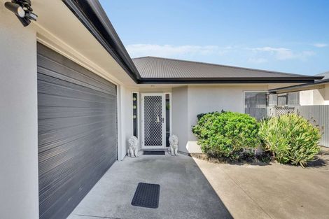 Photo of property in 1020a Totara Street, Mahora, Hastings, 4120