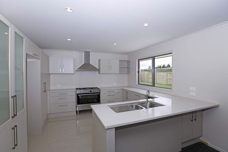 Photo of property in 13 Hancock Drive, Flagstaff, Hamilton, 3210