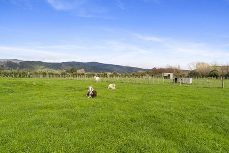 Photo of property in 103 Waikawa Beach Road, Manakau, Levin, 5573