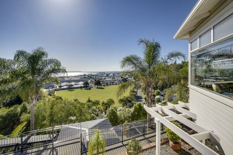 Photo of property in 40 Hospital Terrace, Hospital Hill, Napier, 4110