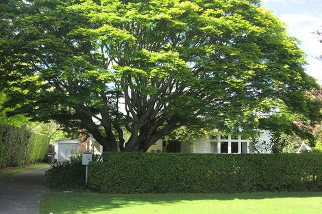 Photo of property in 55 Princes Street, Cambridge, 3434