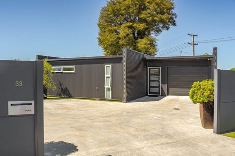 Photo of property in 33 Mcmaster Street, Greytown, 5712